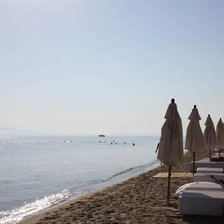 Lefka * 하니오티