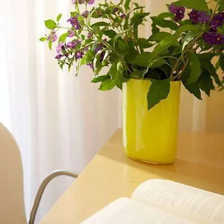 Lefka Apartament *